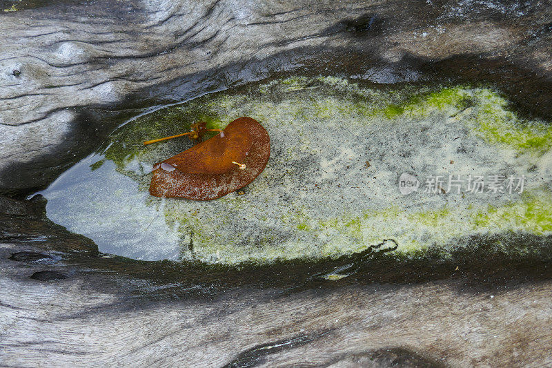 Anse la Liberte, Mahe，塞舌尔